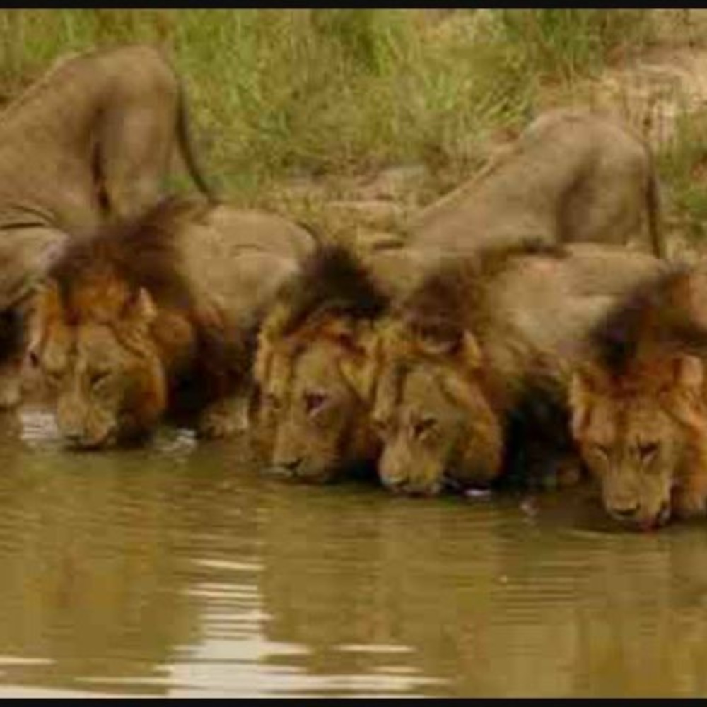 Meet your Posher, Timothy